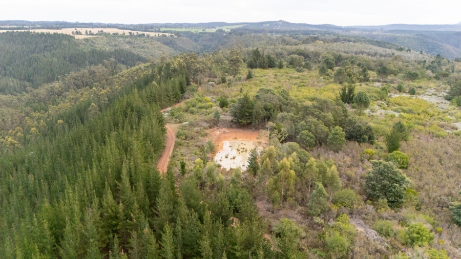 Commercial Property for Sale in Plettenberg Bay Rural Western Cape